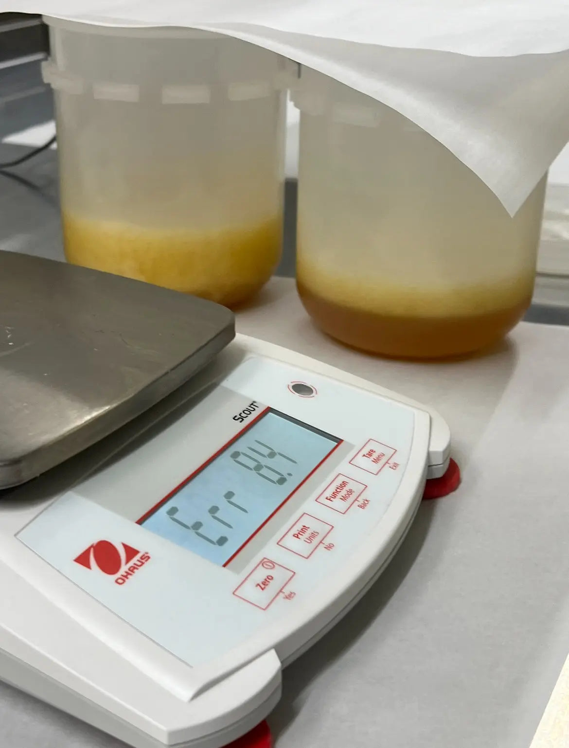 Polypropylene Cups Spin Tech - Purge Technologies